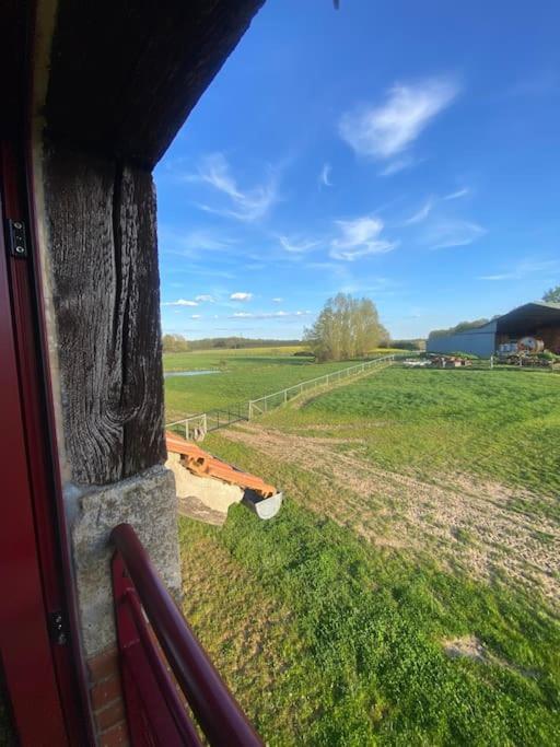 Villenouan Domaine Et Gites Lailly-en-Val Bagian luar foto